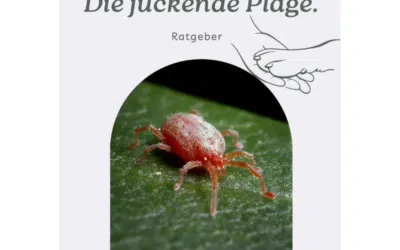Entdecke mein neues E-Book – Dein umfassender Leitfaden zur Behandlung und Vorbeugung von Grasmilben bei Hunden