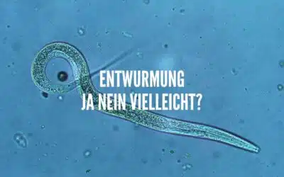 Welche Alternativen zur chemischen Wurmkur gibt es?