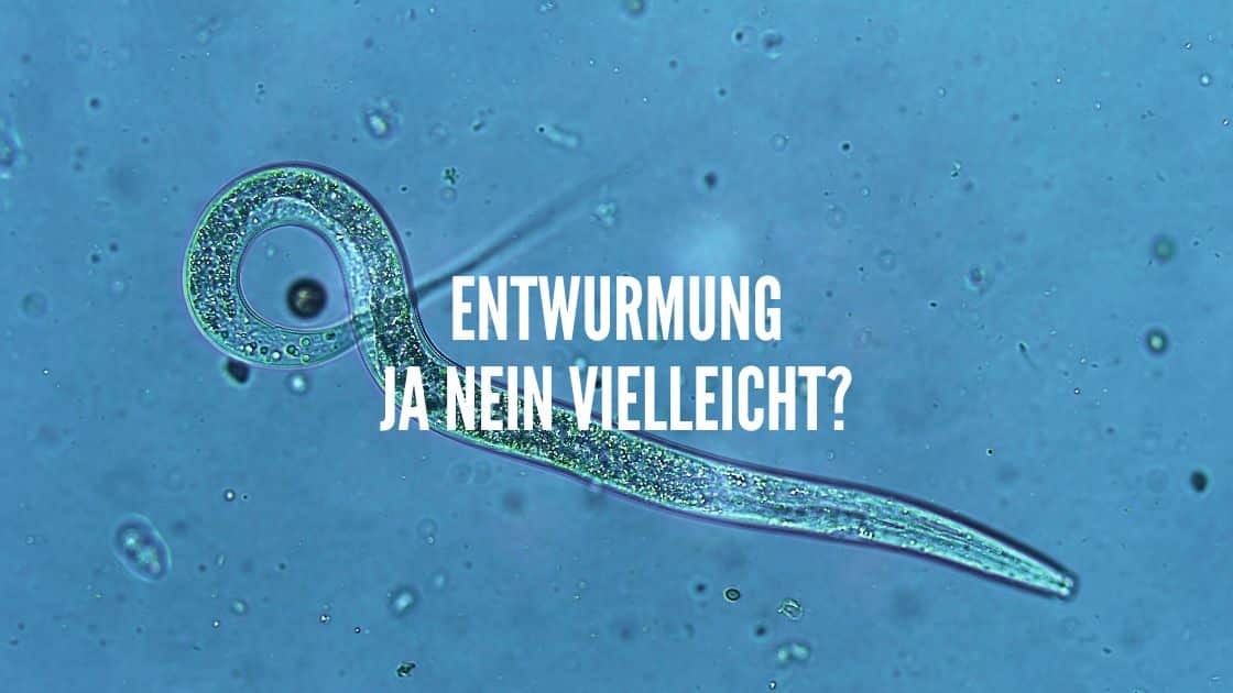 Entwurmung ja nein vielleicht