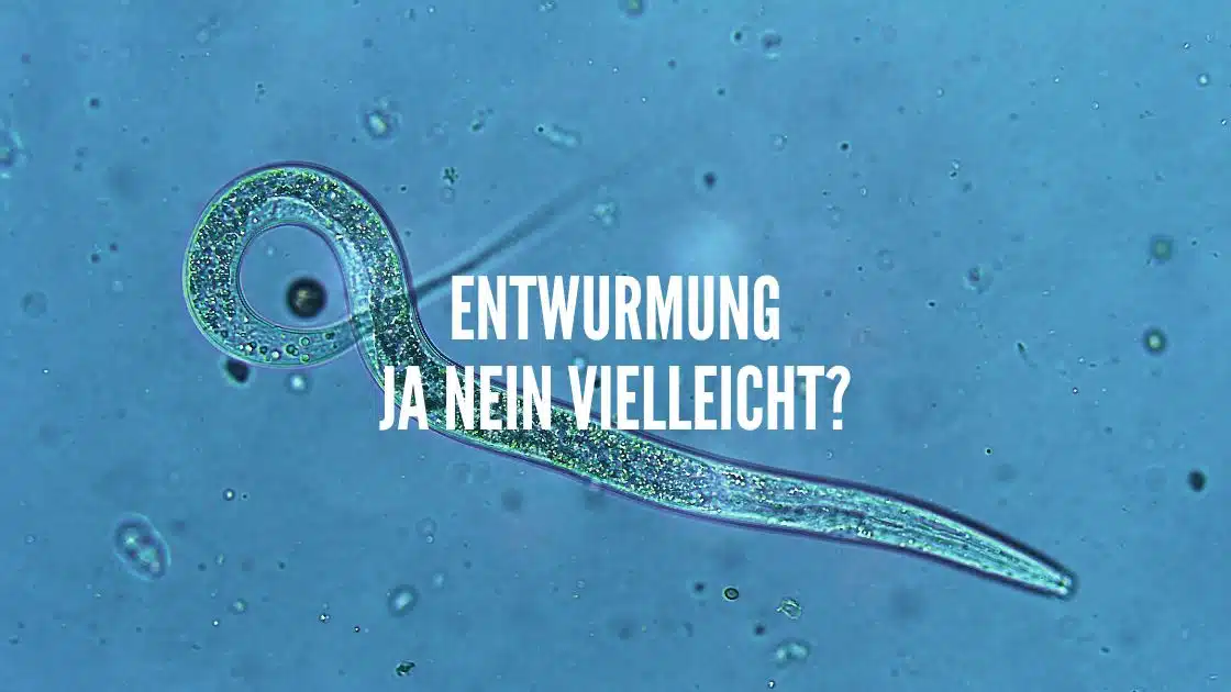 Entwurmung ja nein vielleicht