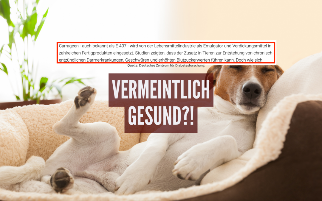 Ja aber das frisst er ja schon immer. Also DARAN kann es nicht liegen!