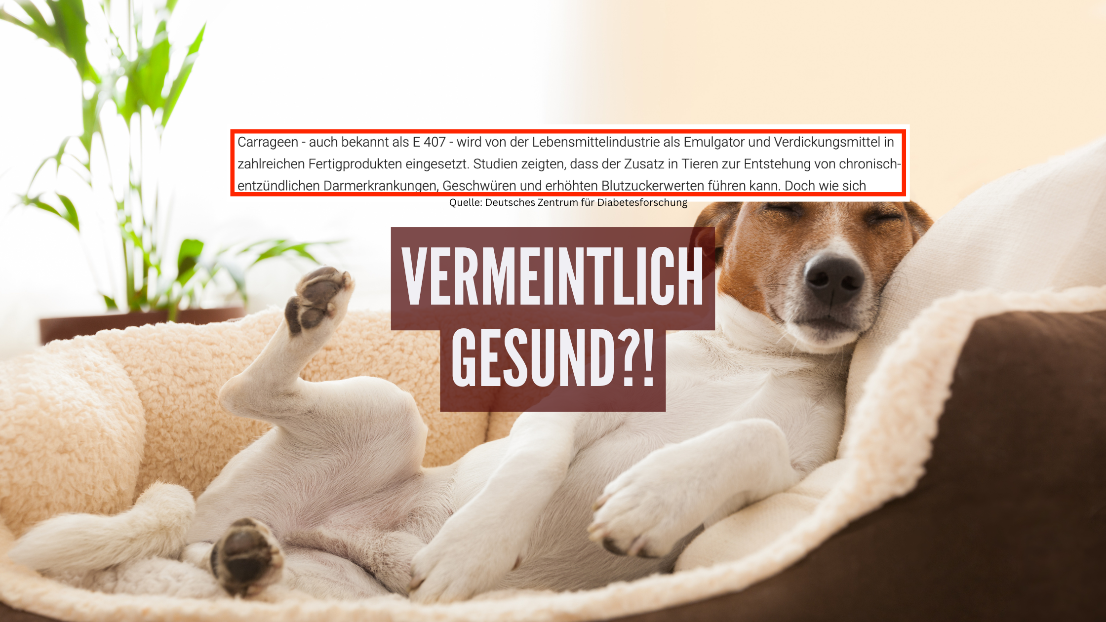 Vermeintlich gesund