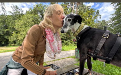 Día del Galgo – Eine Herzenssache für mich