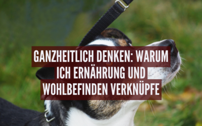 Ganzheitlich denken: Warum ich Ernährung und Wohlbefinden verknüpfe