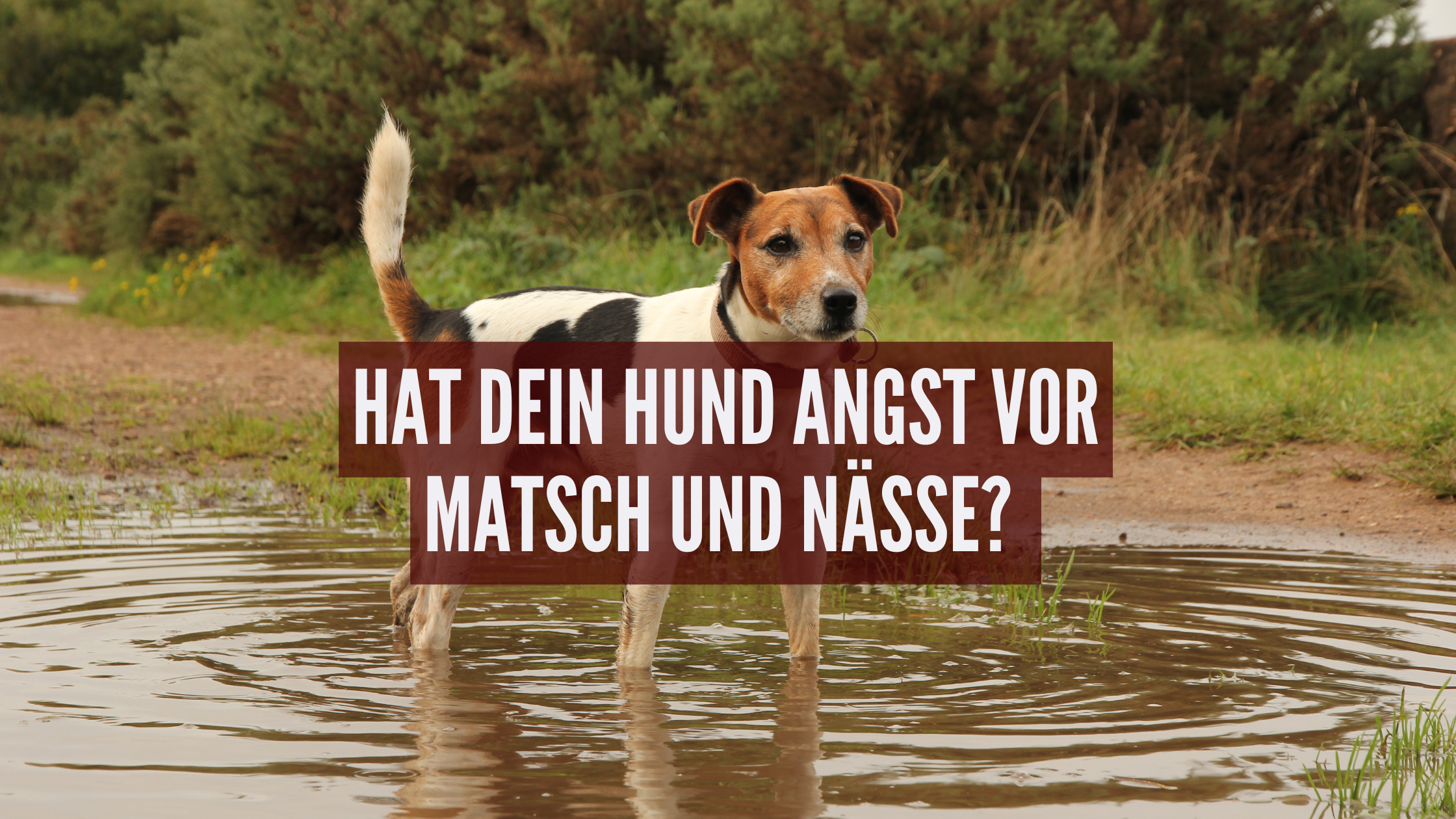 Angst vor Matsch
