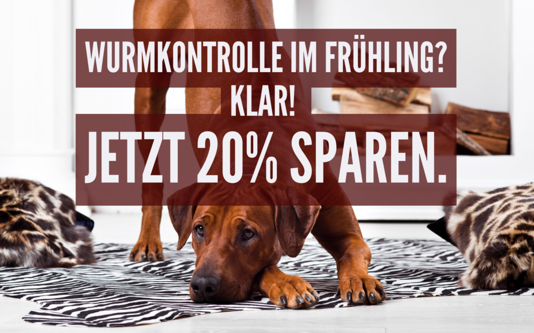 Wurmkontrolle im Frühling, jetzt testen mit dem Wurmtest von vetevo