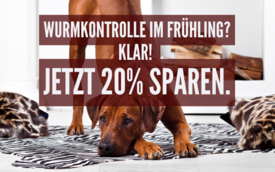 Wurmkontrolle im Frühling, jetzt testen mit dem Wurmtest von vetevo