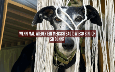 „Wieso ist dein Hund so dünn?“