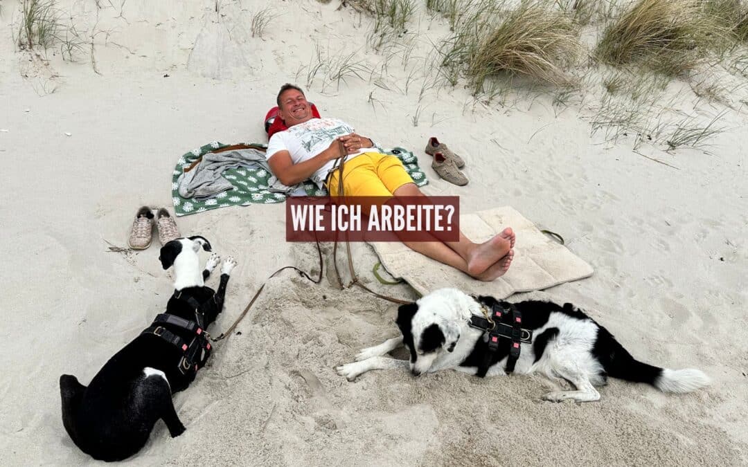 Wie ich arbeite – Ein Blick hinter die Kulissen meiner Hunde-Ernährungsberatung