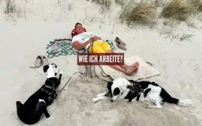 Wie ich arbeite – Ein Blick hinter die Kulissen meiner Hunde-Ernährungsberatung