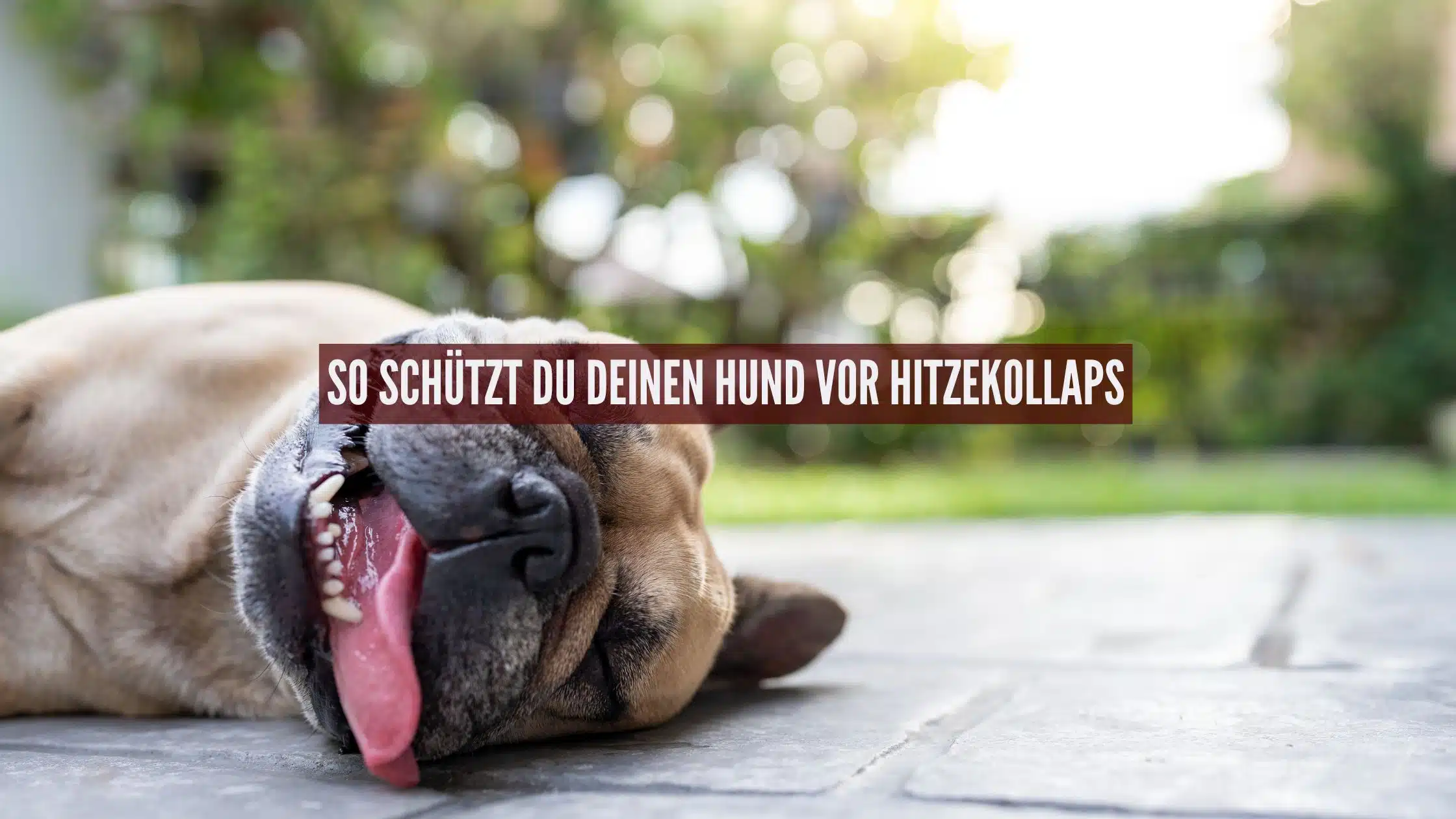 Schutz vor Hitzekollaps